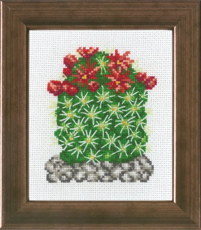 Broderikit Kaktus med röd R5380 10 x 12 cm Köp online