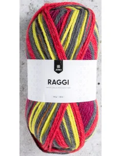 Kundfavorit Raggi 100g 219 Park Lane