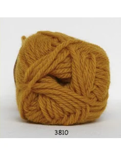 Ragg 50g 3810 Lejongul Handla nu