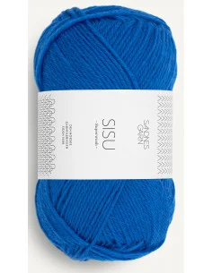 Snabb frakt Sisu 6046 Jolly Blue