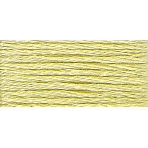 Begränsat antal DMC Mouliné Spécial 25 Broderigarn 11 Törel
