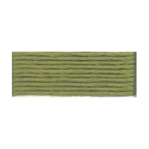 DMC Mouliné Spécial 25 Broderigarn 3052 Kronärtskocka Expressleverans
