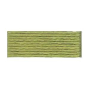 Begränsat antal DMC Mouliné Spécial 25 Broderigarn 3053 Kronärtskocka