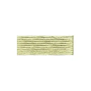 Sänkt pris DMC Mouliné Special 25 Broderigarn 3013 Bark
