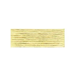 Premium DMC Mouliné Spécial 25 Broderigarn 3046 Ljus Gyllenbrun