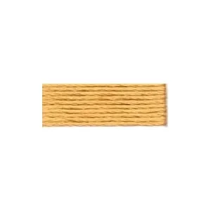 Endast idag DMC Mouliné Spécial 25 Broderigarn 436 Kola