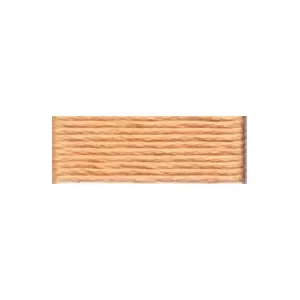 Snabb frakt DMC Mouliné Spécial 25 Broderigarn 3856 Ljus Lax