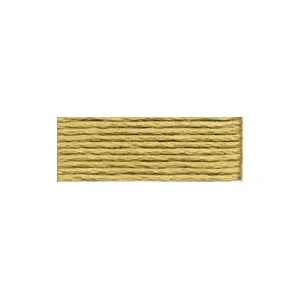 Begränsat erbjudande DMC Mouliné Spécial 25 Broderigarn 371 Ljus Mullvad