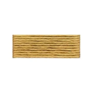 DMC Mouliné Spécial 25 Broderigarn 3828 Ljus Kastanj Sista chansen