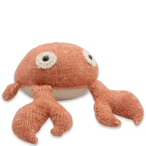 Fynd Gör det själv/DIY set Krab Karel Stickning
