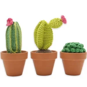 Reapris Gör det själv/DIY set Cacti Virkning