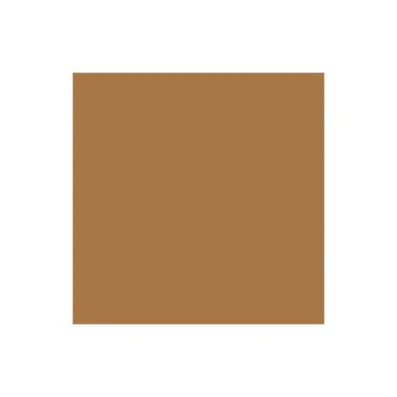Reapris Brush Marker Cocoa O535