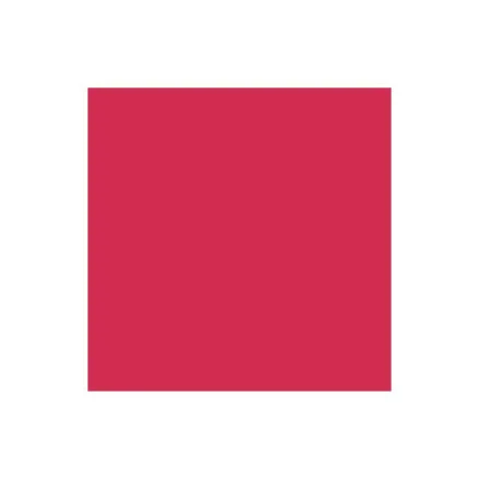 Populärt val Brush Marker Ruby R455