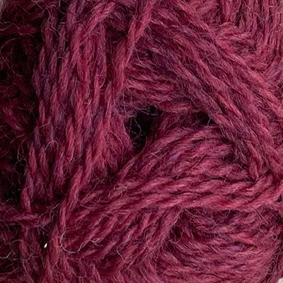 BRITISH BREEDS - Acer Billigare