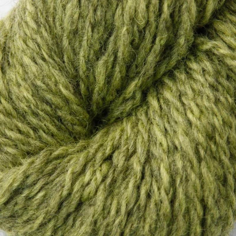 I lager Blåne - Lime - 2107
