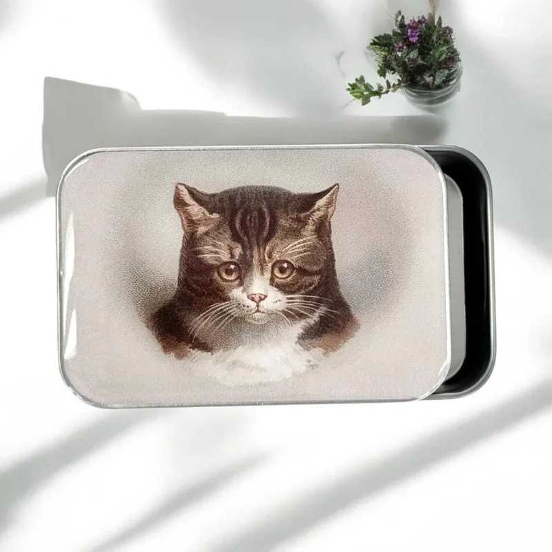 Cat Notions Tin-Lilla Asken Outlet