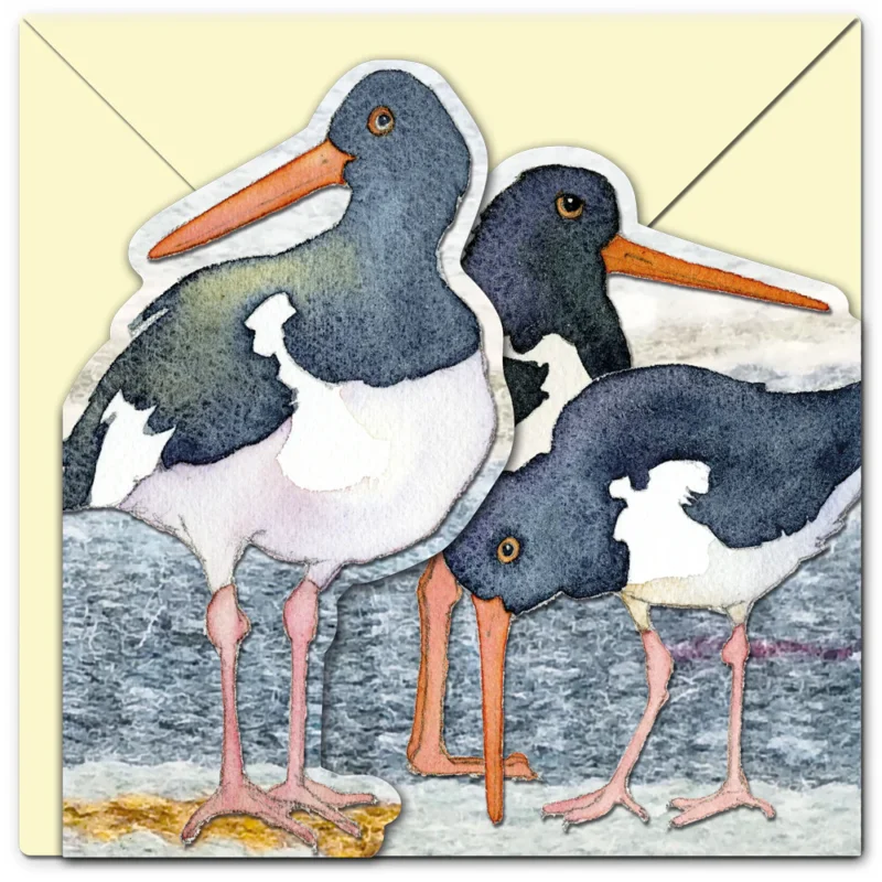 Köp nu Oystercatchers - Two fold card / Dubbelvikt kort med kuvert - Emma Ball