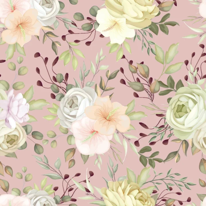 Rosen Clara rosa Rabatter