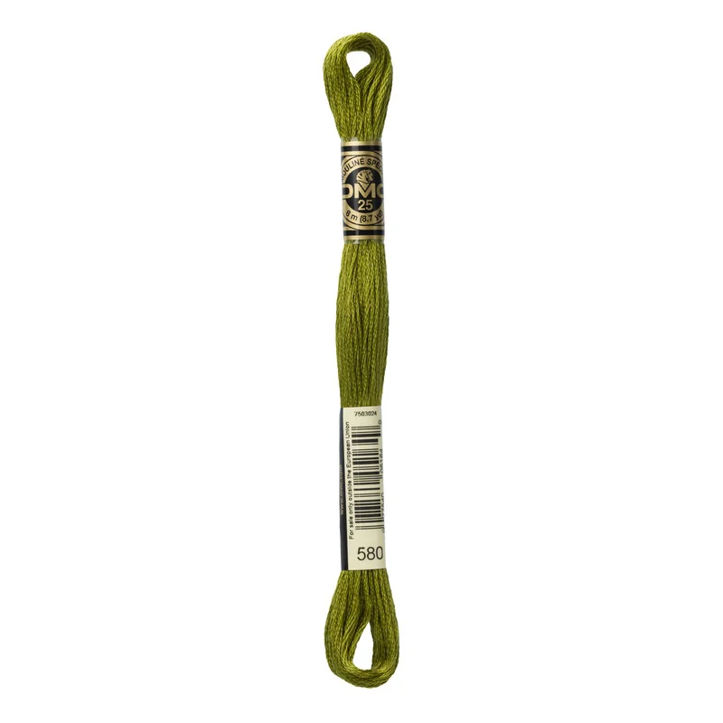 DMC Mouliné Spécial 580 Cactus Nyhet