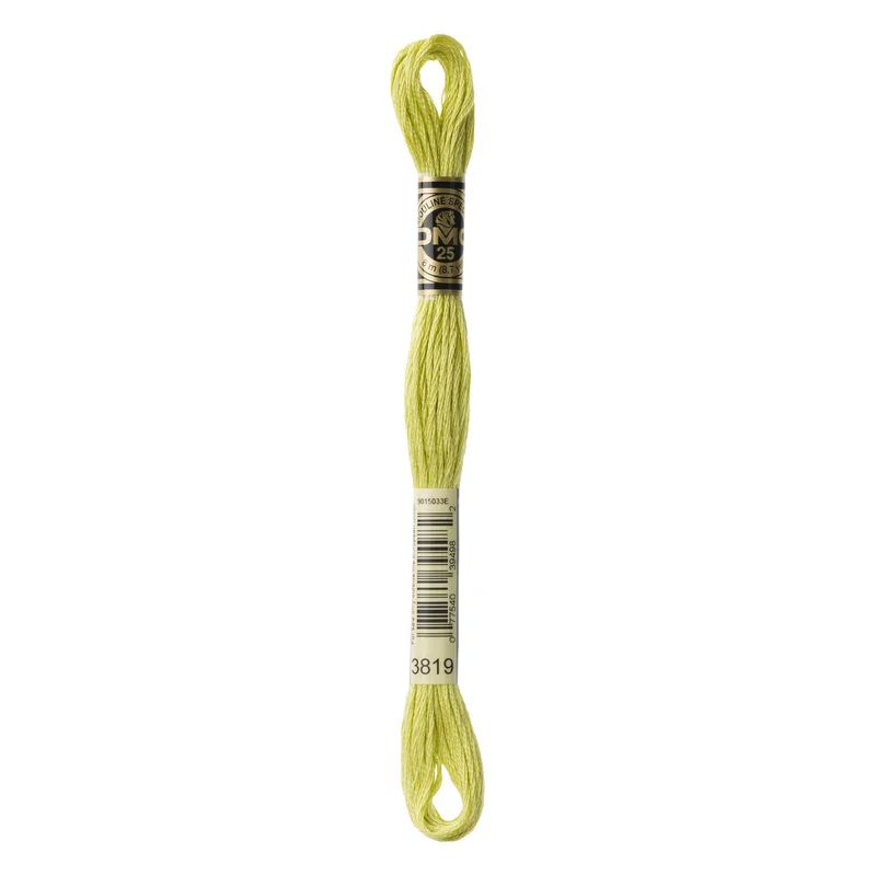 Bästa pris DMC Mouliné Spécial 3819 Aurous Green