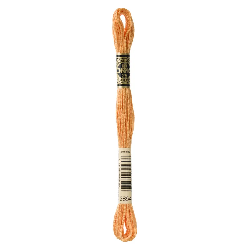 Begränsat antal DMC Mouliné Spécial 3854 Chai Spice