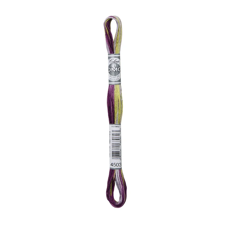 Begränsat antal DMC Mouliné Coloris 4503 Iris Bouquet